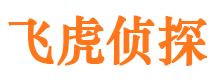 宁陕市婚外情调查